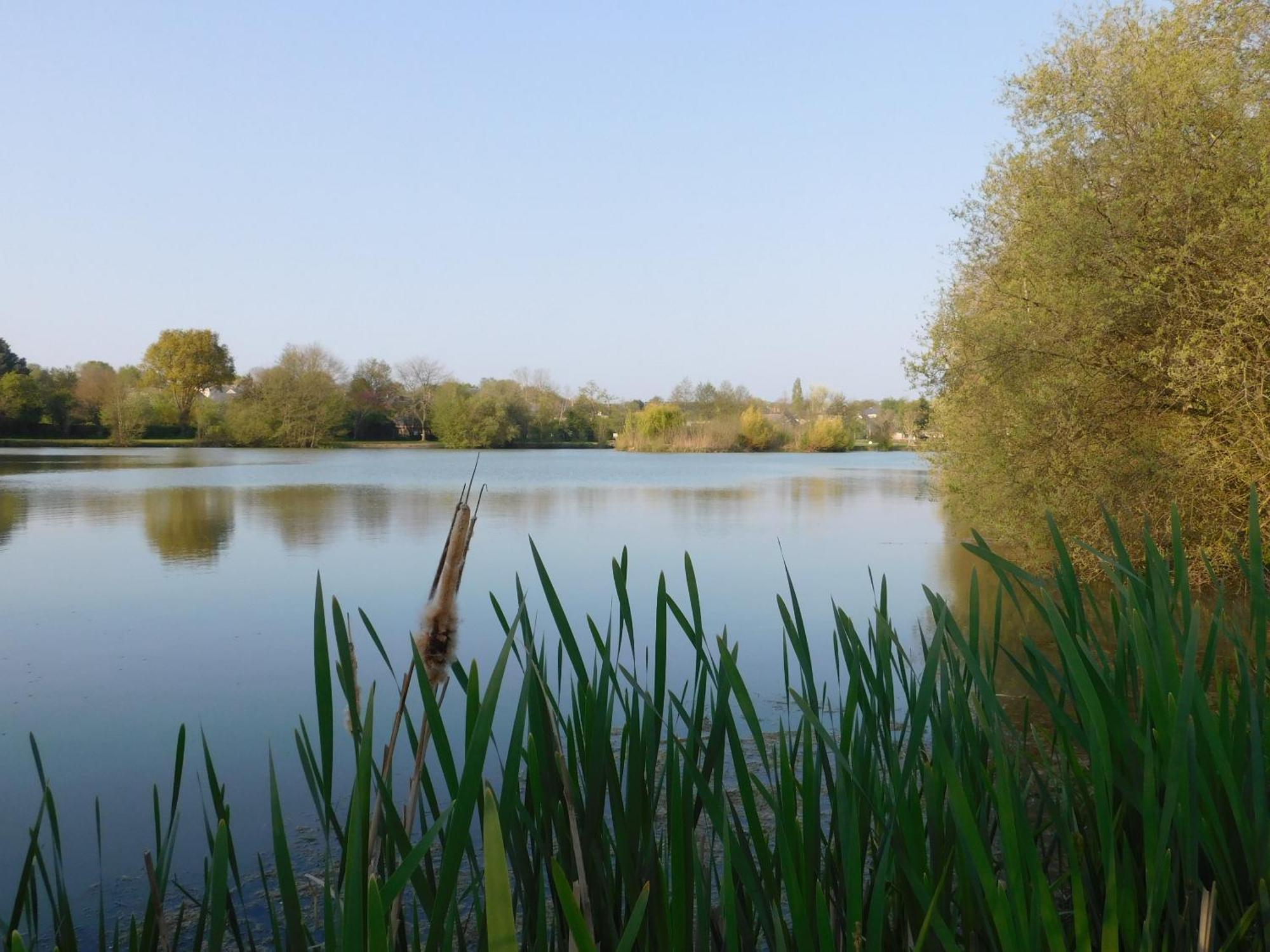 Village De Gites Nature Et Jardin Bouere Exterior photo